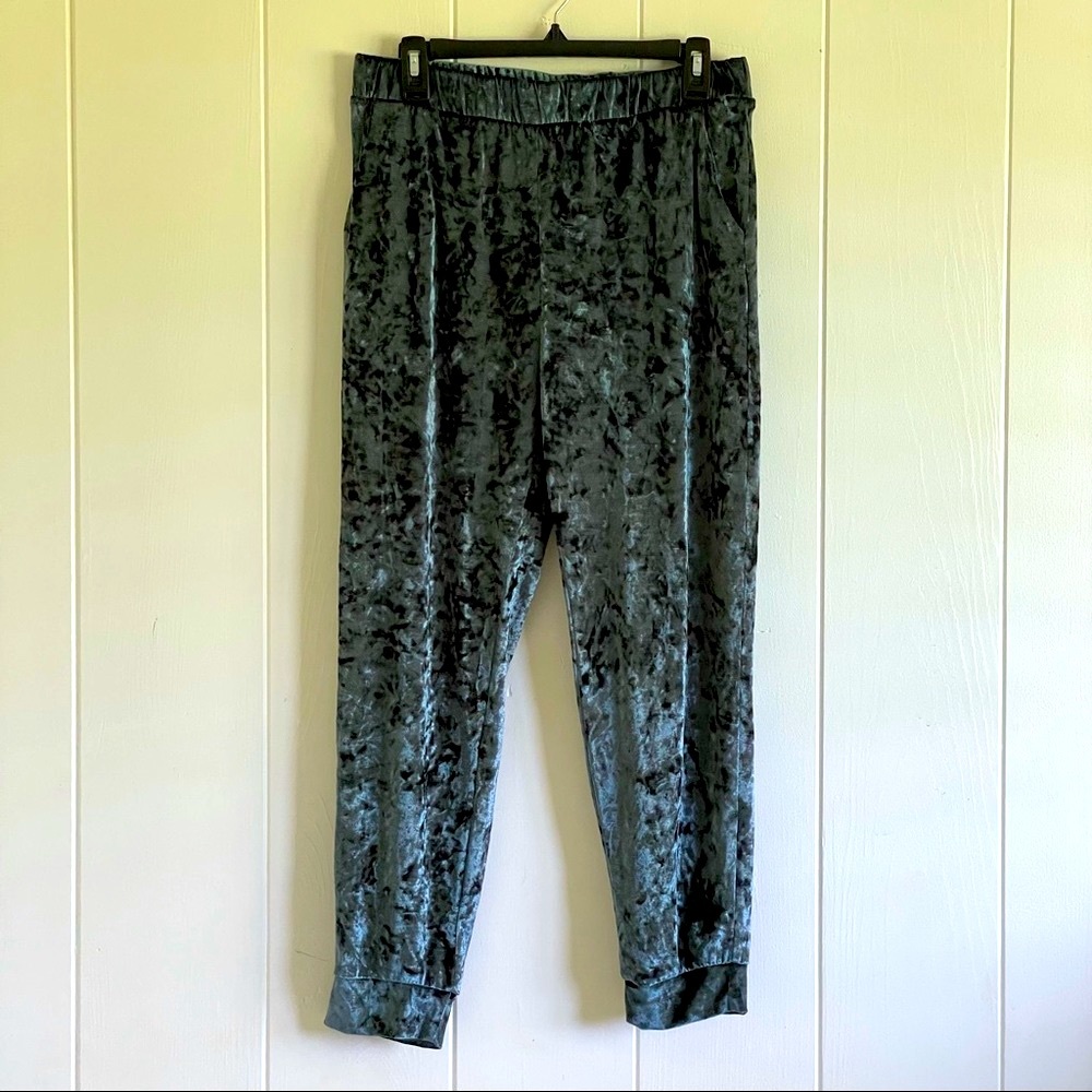 teal crush VELVET joggers
